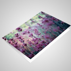 Blank 6x4 Note Cards with envelopes (pack of 25)