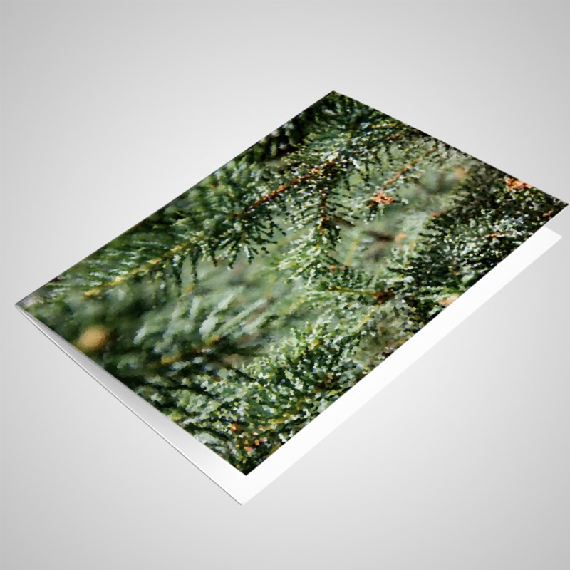 blank 6x4 note cards with envelopes pack of 25